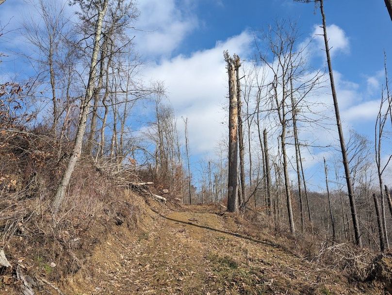 PXL_20240223_162256100