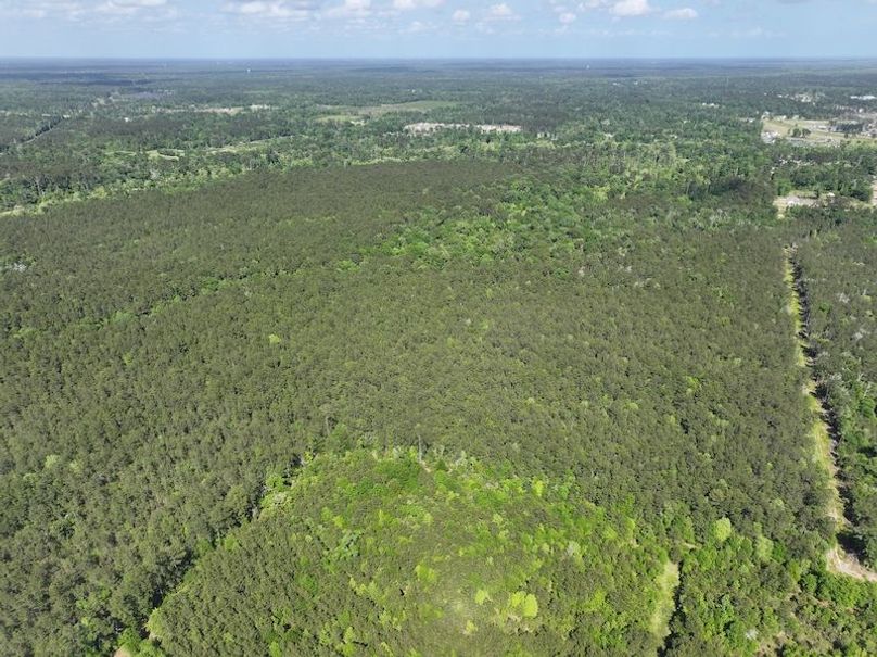 dji_fly_20260413_140928_0047_1776114931921_photo