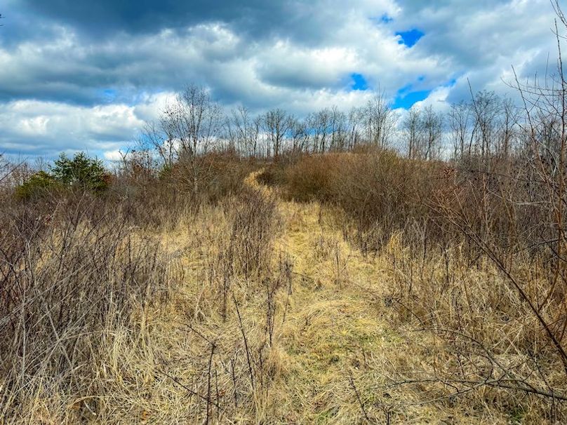 Doddridge, WV 79.08 AC Adams-60