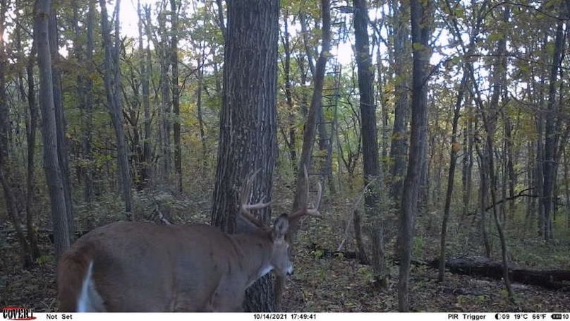 ACEEC5E6-34C2-476B-B22B-C940A1ACCB2BIMG_5379