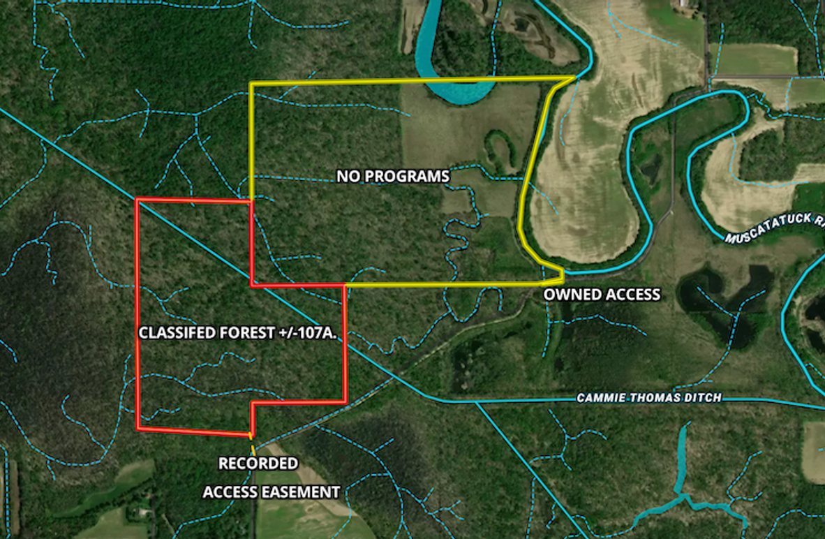 1Screenshot 2026-02-12 at 5.39.11 PM