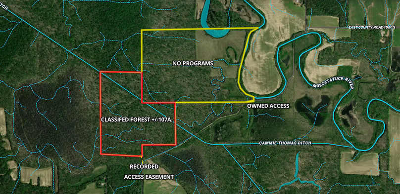 1Screenshot 2026-02-12 at 5.39.11 PM