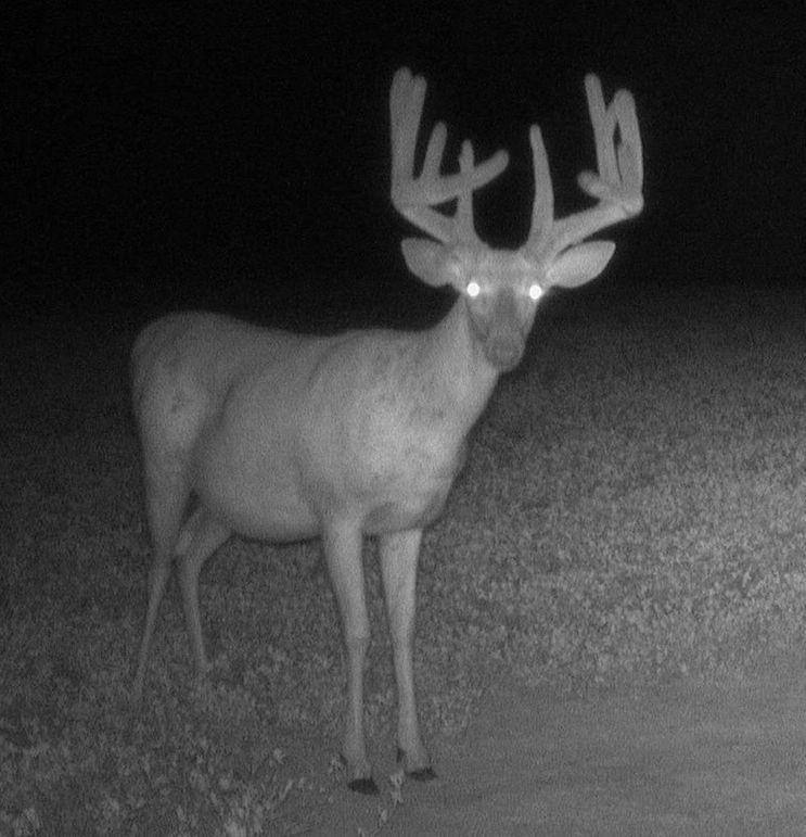 Copy of Copy of IMG_9018