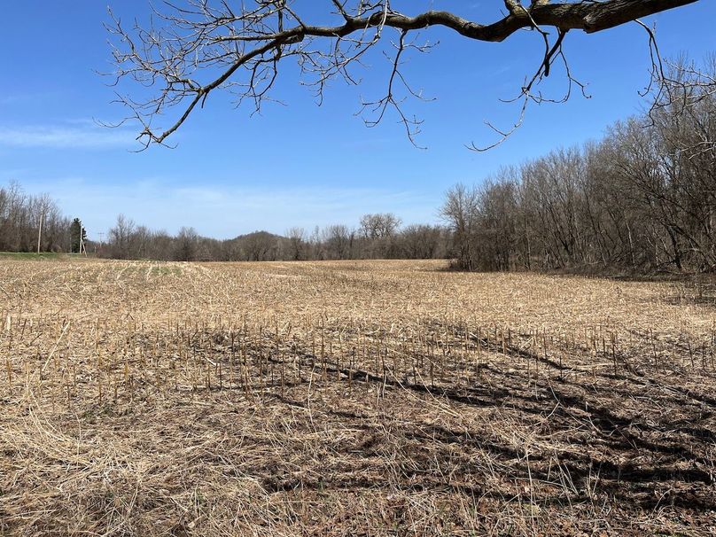 Ontario_96.7_Kiikka Photo 20