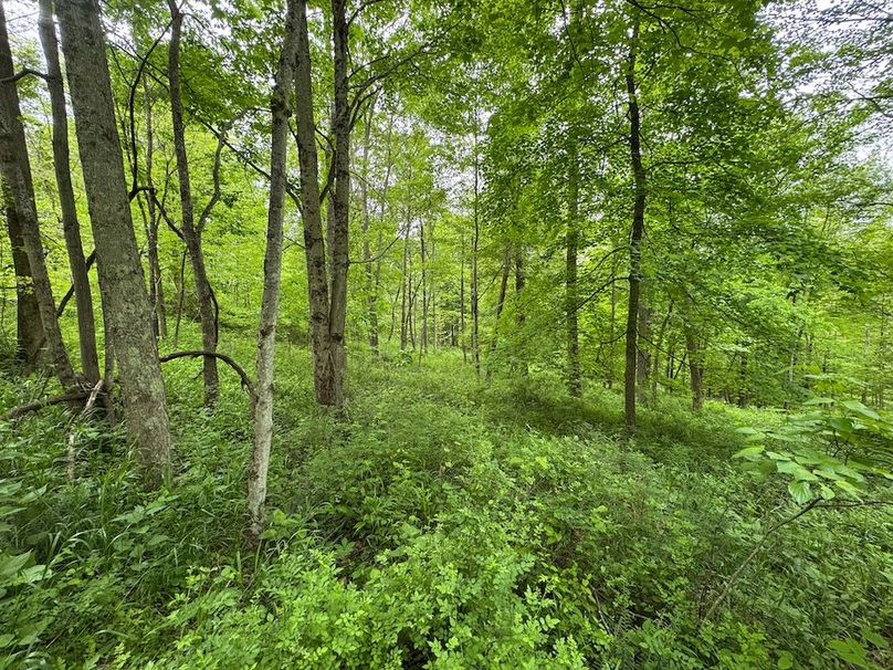 Pleasants, WV 168.59 AC Superior, Swank, Young-084