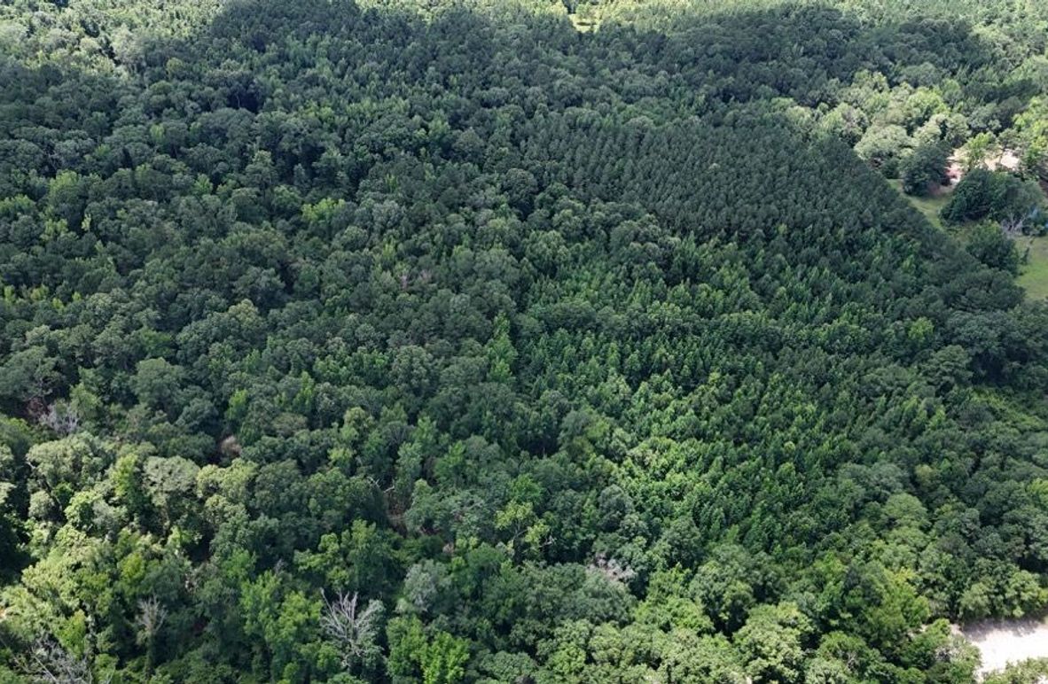 DJI_20250625011905_0677_D