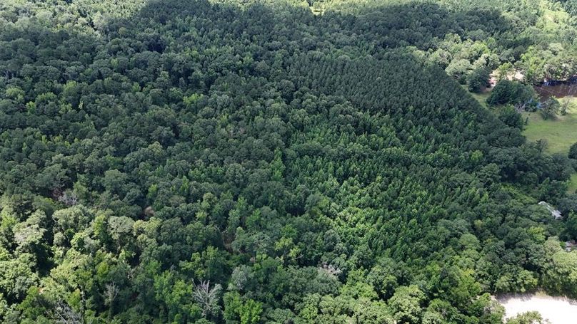 DJI_20250625011905_0677_D