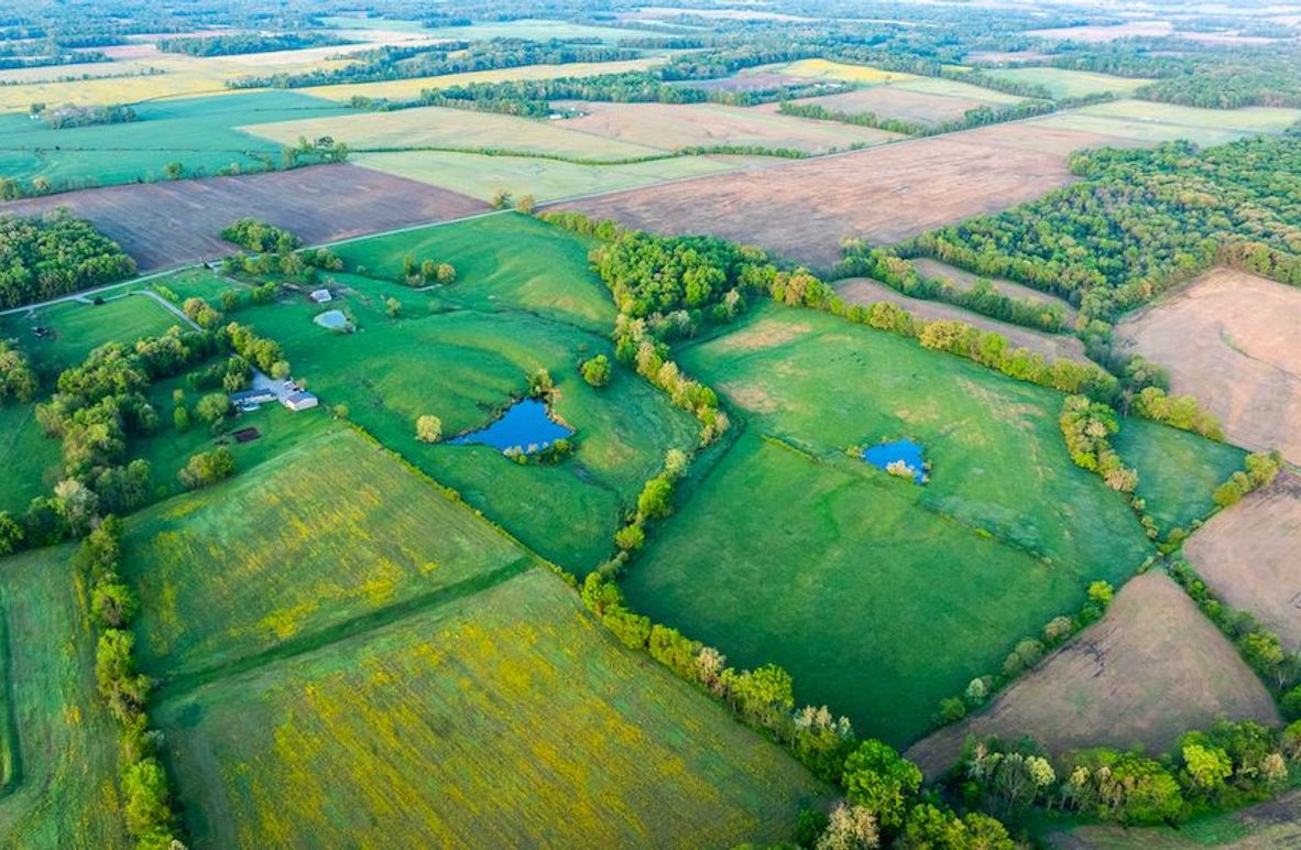 DJI_20250428054856_0004_D