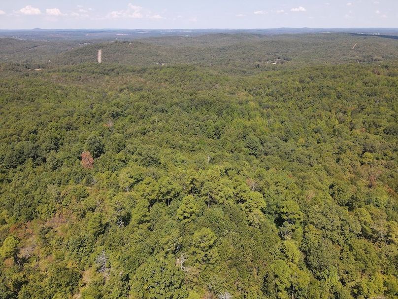 dji_fly_20250902_122340_768_1756833838236_photo