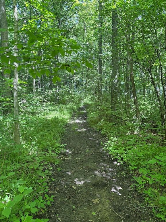 trail