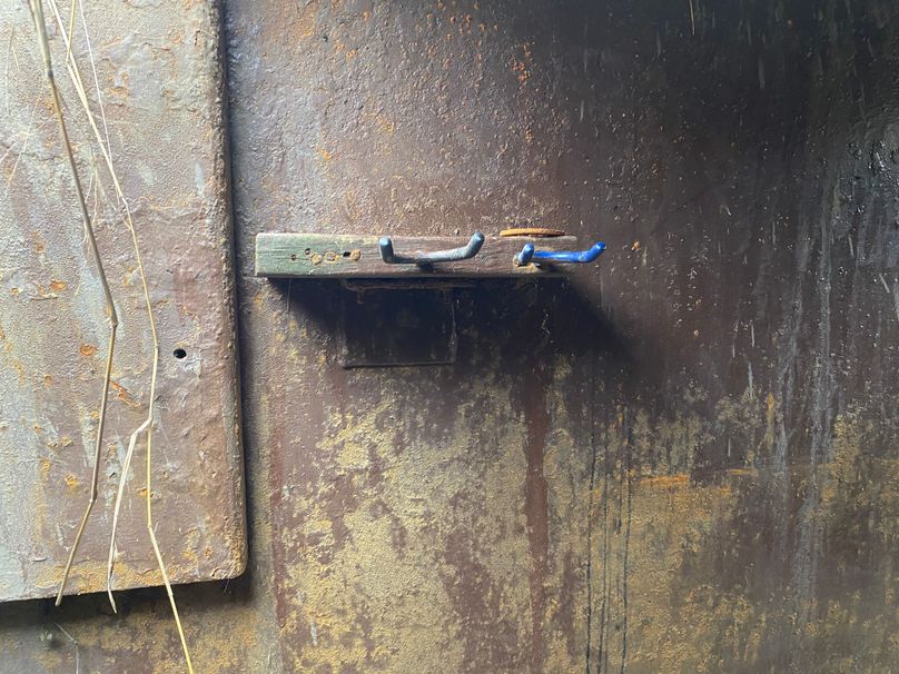 pics from late 2021 and early 2022. New plots being planted in Aug 2023 for new pics (33)