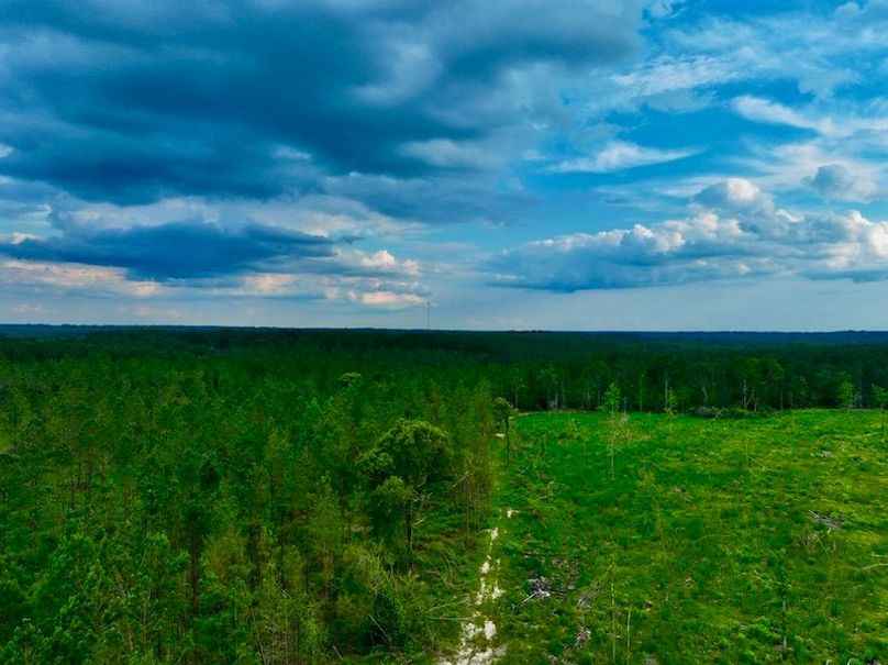 0FFE2142-B07F-448C-B32F-59CA37DA5D6F_1_105_c