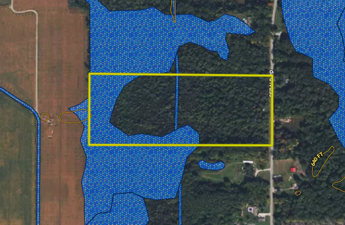 Screenshot 2025-03-11 at 10.16.17 AM