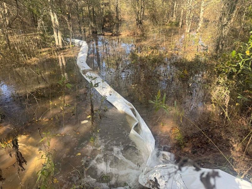 1a1 jeff 8320251111_0239