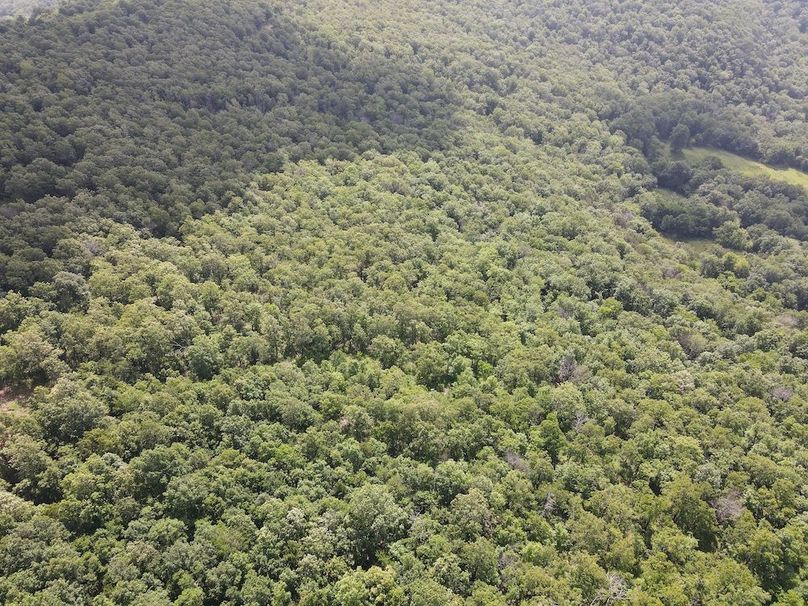 DJI_0379