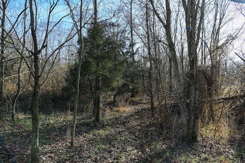 vandalia 450 (2)-1709