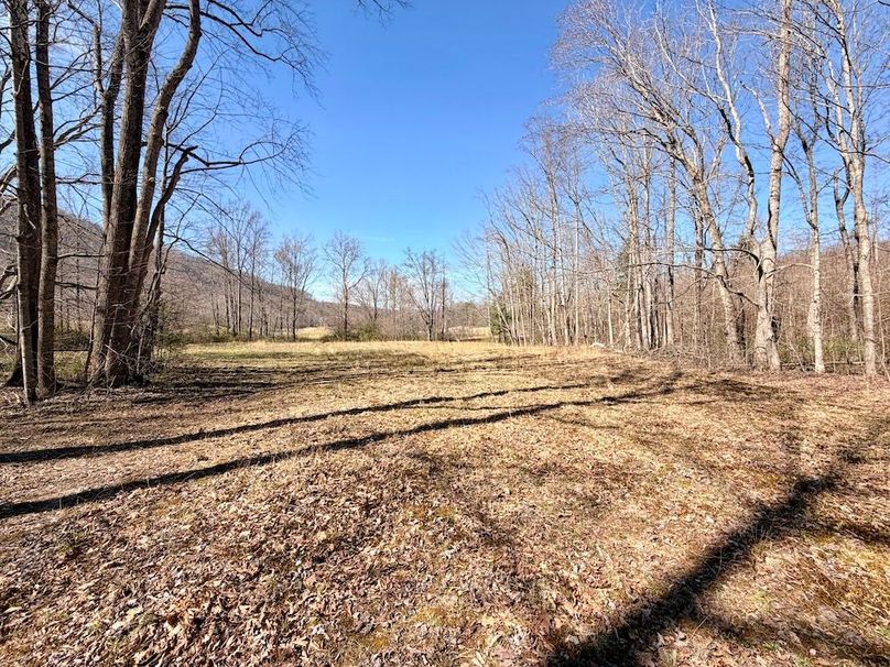 Morgan Co TN 310.833 Schneller_57