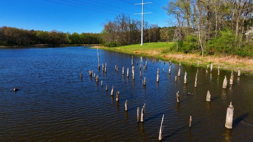WILLIAMSON, IL 65.00_08_50_02.Still036