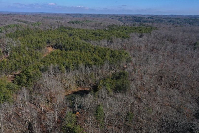 011 aerial drone view from the west area of the property looking north