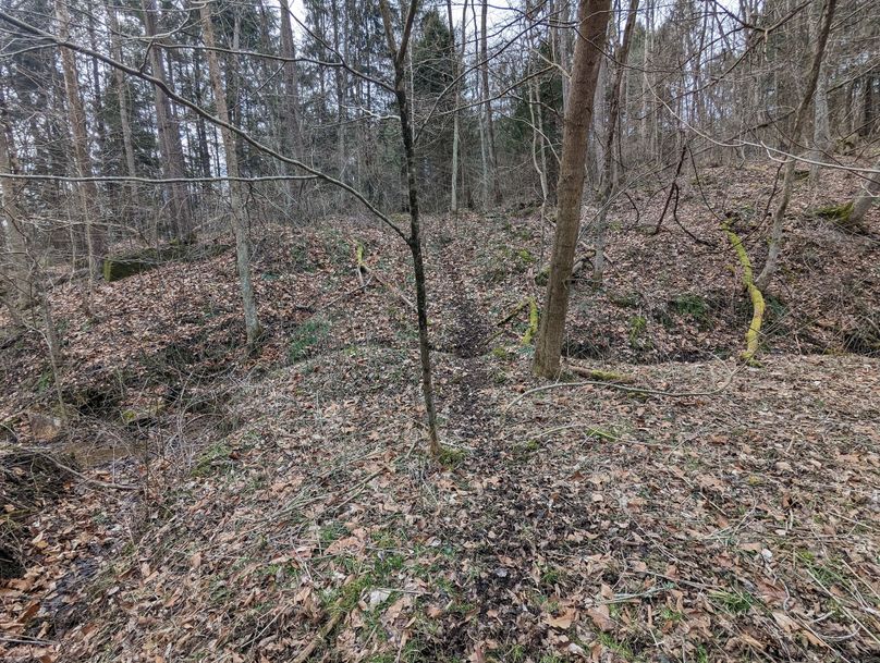 PXL_20230213_161005148