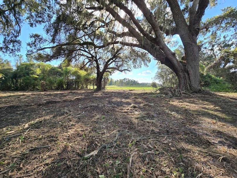 21ac, Sumter, Reelvest12