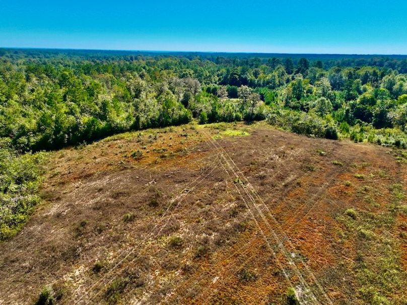 8B8B51F8-1D5C-4CC8-967B-F1F863114A5D_1_201_a