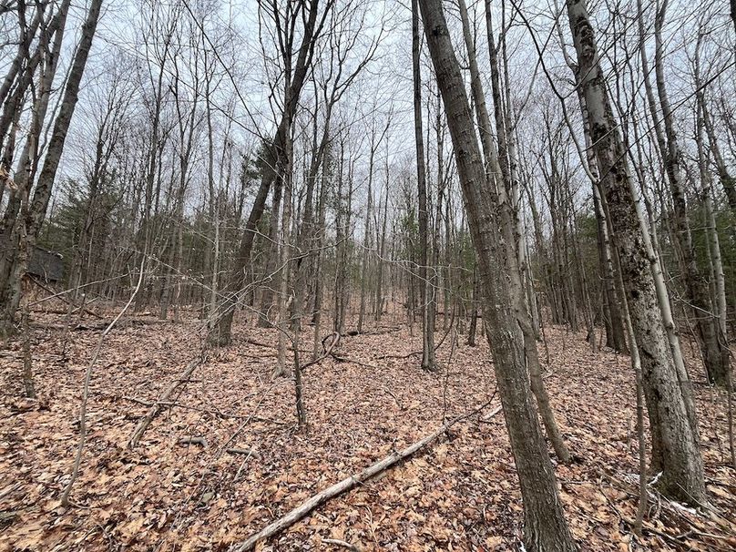Chemung_17.45_Delsey Photo 18