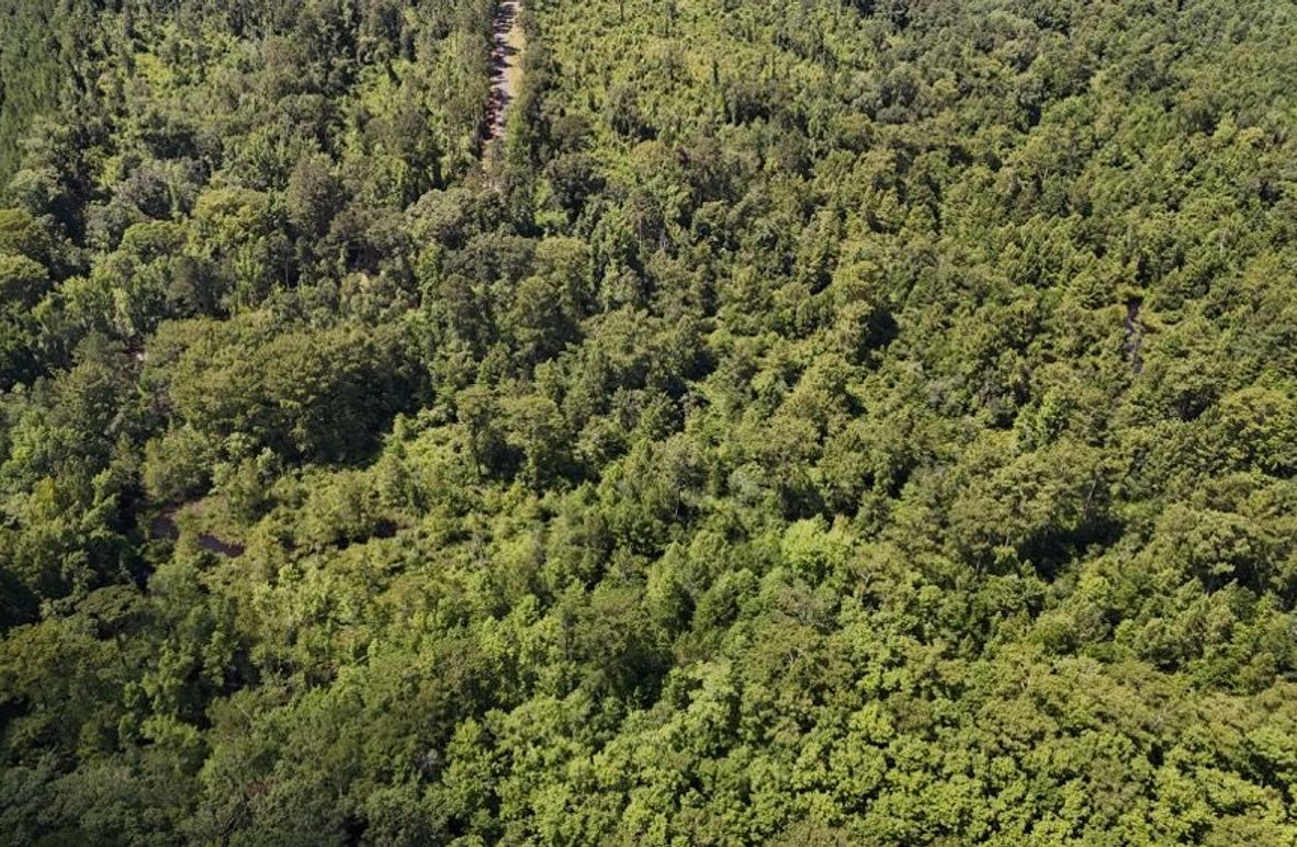 DJI_20250625002244_0665_D