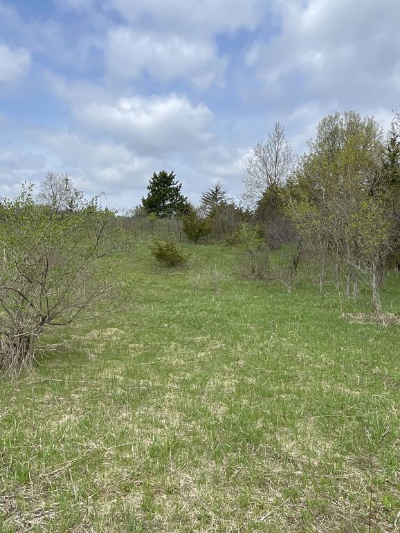 St.Croix4.56Conway-010