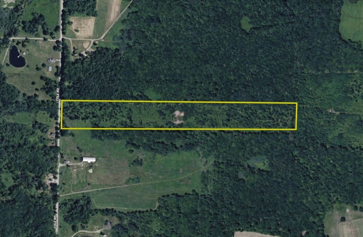 Screen Shot 2026-02-04 at 2.04.47 PM