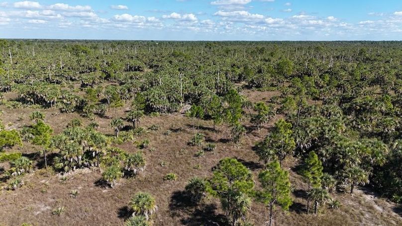 DJI_20251119125058_0995_D