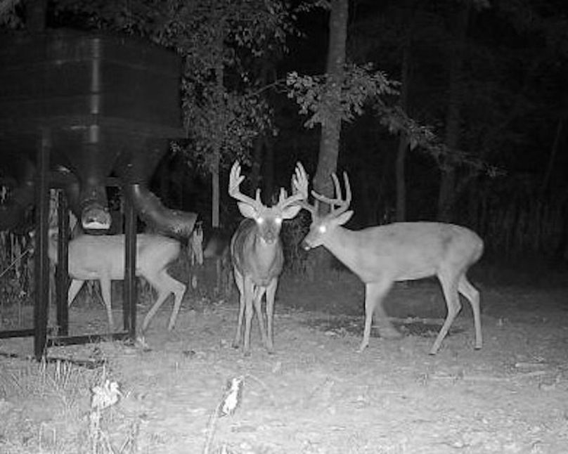 Copy of 865814040776260-40-4-09082024213946-W1010762