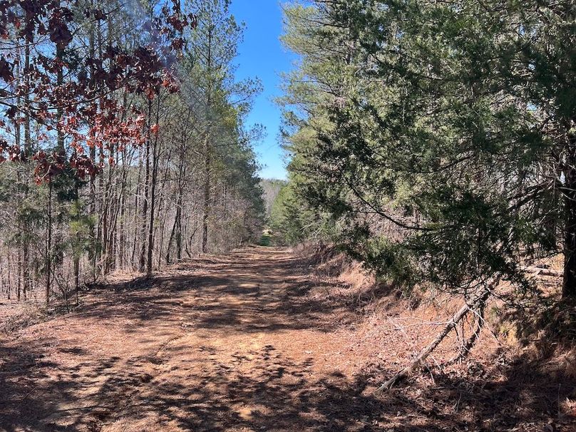 033_Internal Road System