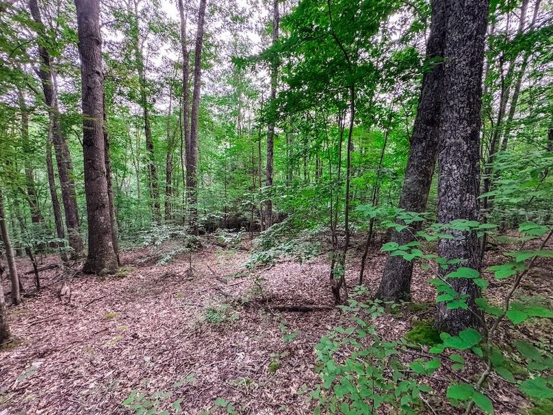 Webster, WV 42 AC Barger-42