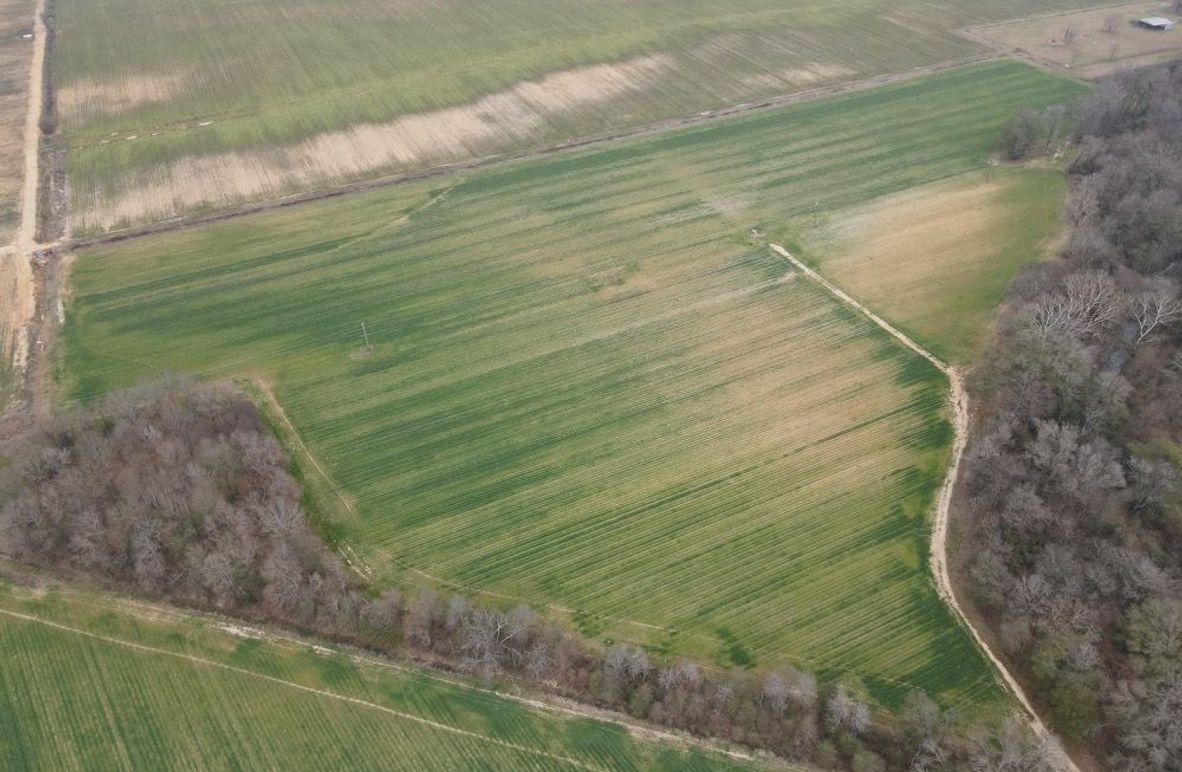 dji_fly_20260106_103230_775_1767987383483_photo