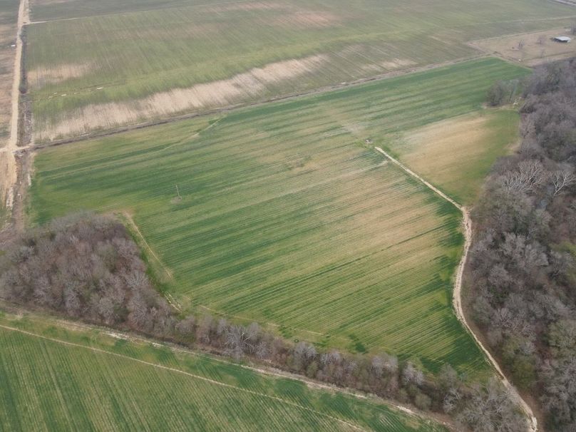 dji_fly_20260106_103230_775_1767987383483_photo