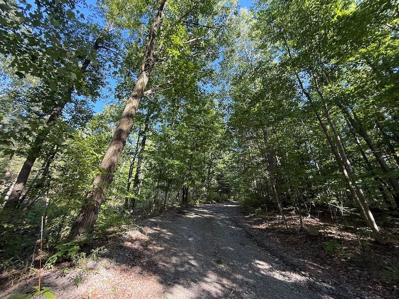 Ontario_33.3_Proseus Photo 53