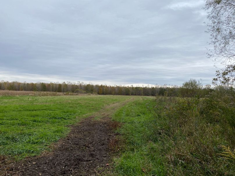 pics from late 2021 and early 2022. New plots being planted in Aug 2023 for new pics (27)