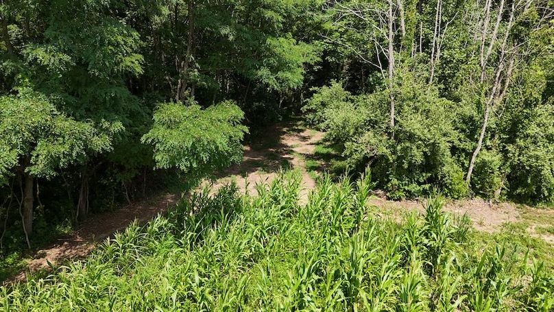 DJI_20250713152644_0573_D