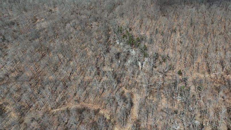 stone8020260307_0066