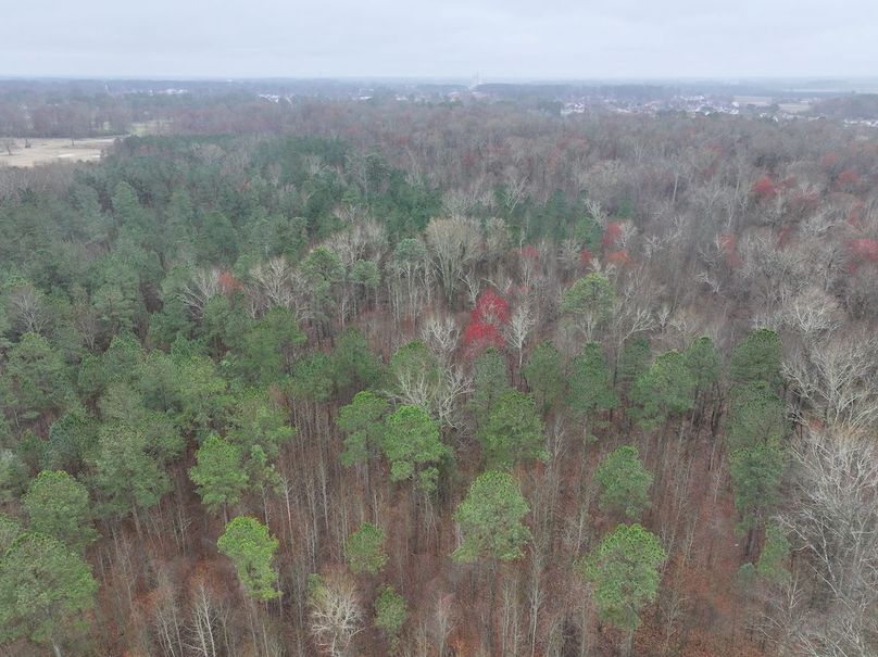 DJI_20240305132718_0051_D