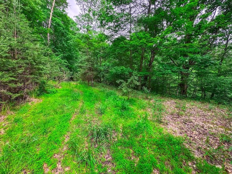 Tyler, WV 313.87 AC -37
