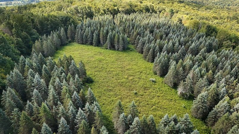 Tioga NY 232.62 Shores Photos 21