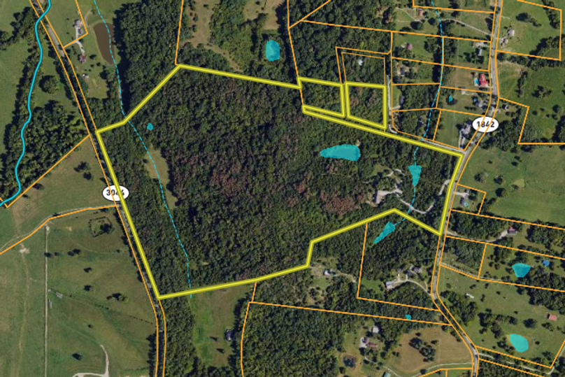 Screenshot 2024-02-13 at 11.13.16 AM