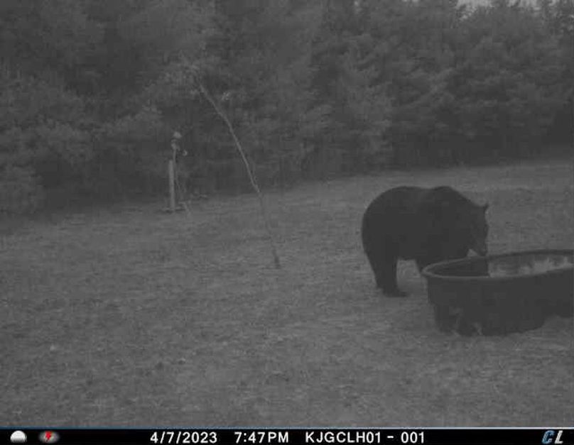 Copy of _storage_emulated_0_Download_(invalid)_VZMedia_33212