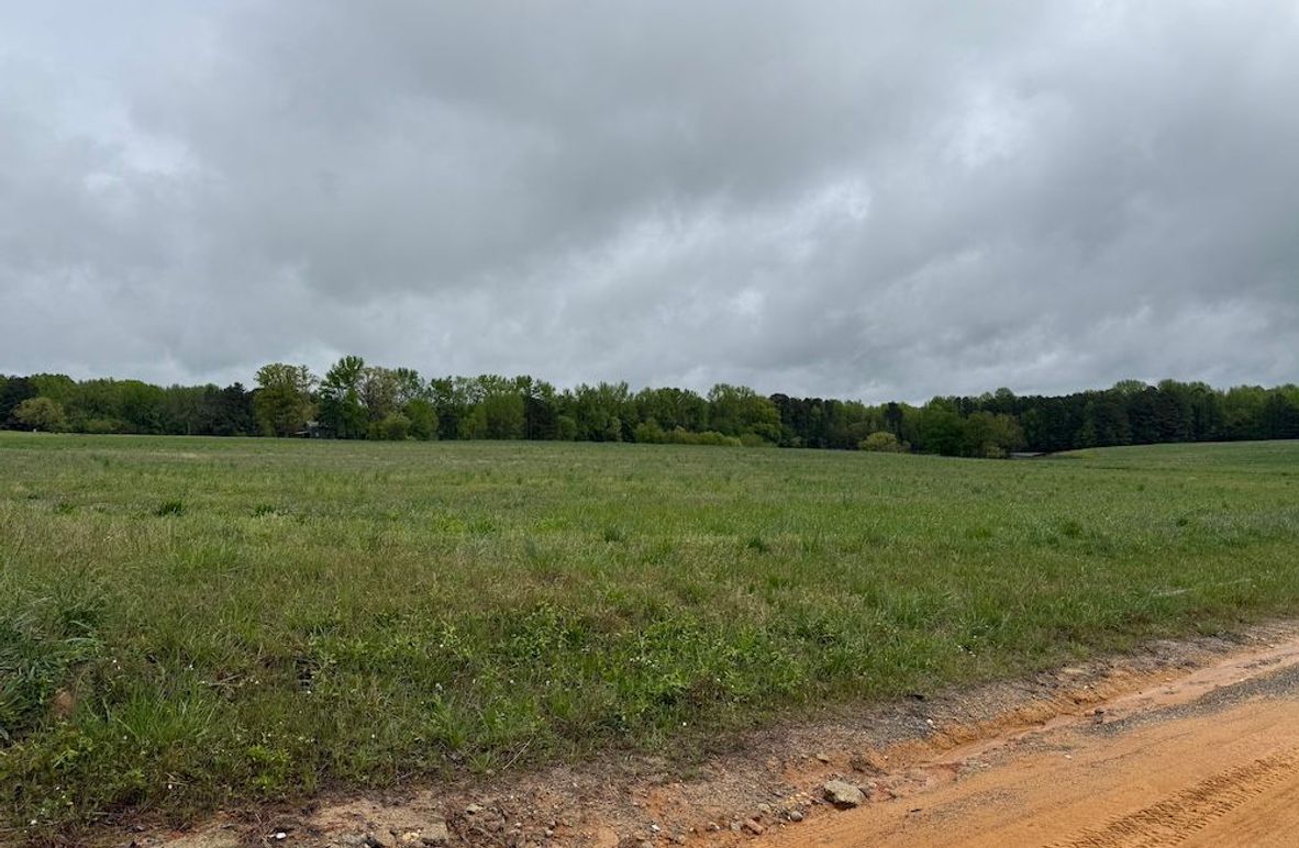 Copy of Copy of IMG_5615