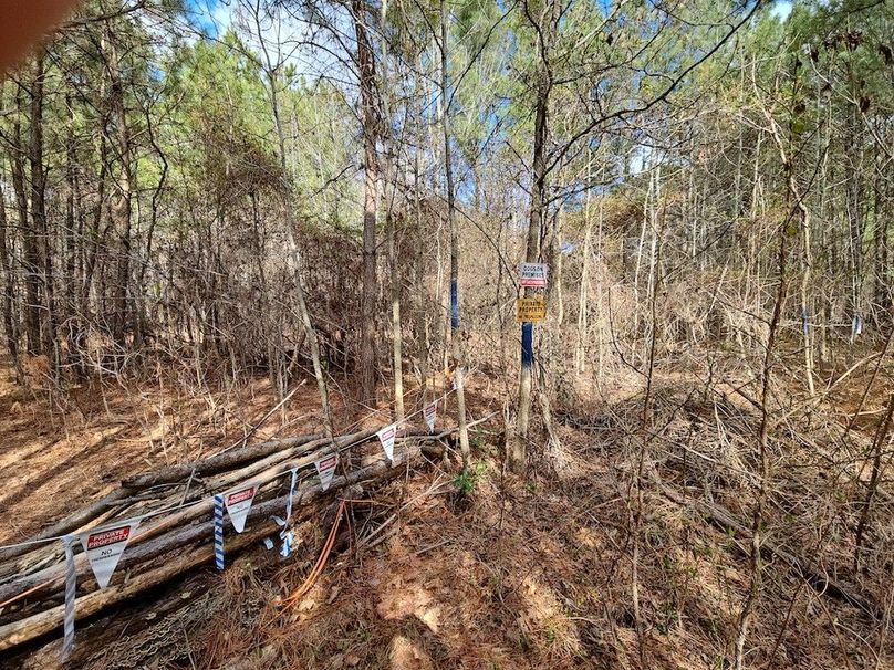 Romancoke_QAnnes_PIC_015