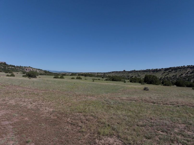 DJI_20250619093153_0002_D