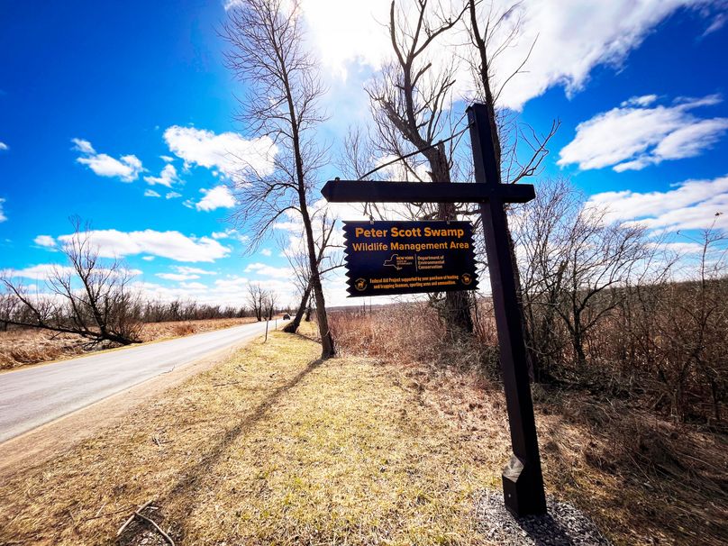 Oswego_165.52_Lashomb_Photos_5