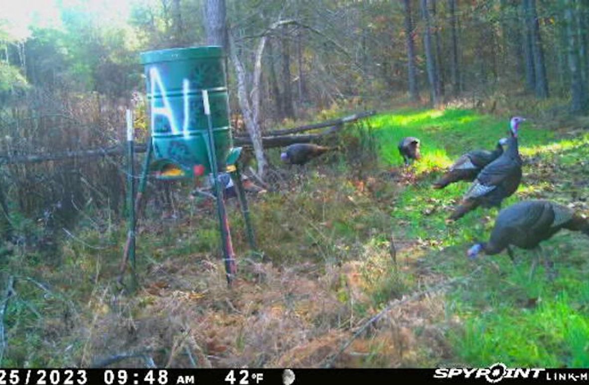 Ashley Co-40-Givens-08